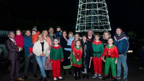 Ireland's biggest Christmas tree is back - in Donegal!