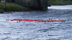 It's time to get your ducks in a row for popular annual Donegal race