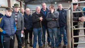 GALLERY: Annual Raphoe Mart Fatstock Show and Sale
