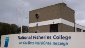 Sea survival infrastructure project at Greencastle 'good to go' - Pádraig Mac Lochlainn