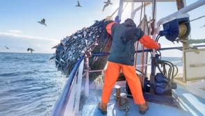 Donegal's fishing fleet aware Brexit threat looms large
