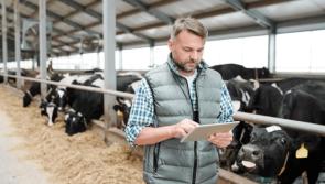 Ifac warns Donegal farm businesses to get Revenue ready for 2020 to avoid hefty fines