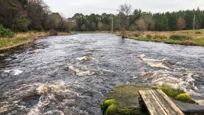 McHugh's Miscellany:  The first bradán caught on the Drowes River has become a yearly institution
