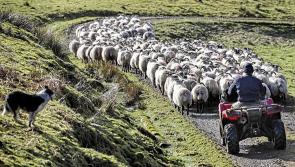 Donegal farmers fear CAP reforms coming in next year