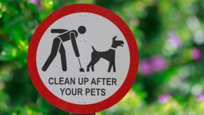 Bundoran residents kick up a stink about increase in dog poo

