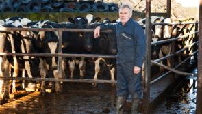 Good news for Donegal dairy sector as ICMSA predicting series of milk price rises