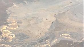 Raw sewage in Donegal Bay 'unacceptable' - Local councillors