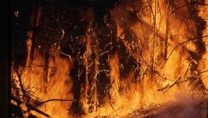 Australia is burning - how can we help here in Donegal?