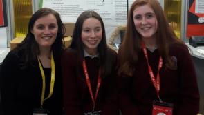 Students from Donegal shine at the BT Young Scientists Exhibition 