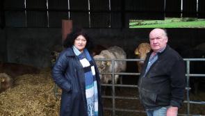 Aontú's Mary T Sweeney calls for more support for farmers

