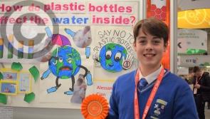 GALLERY: Donegal students shaping the future at BT Young Scientist and Technology Exhibition