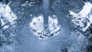 Concerns over lake which is a source of drinking water for some houses in South Donegal raised