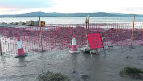 Donegal County Council adopts Climate Action Plan 