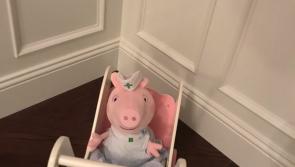 Peppa Pig  returns home after her time by the seaside at popular Donegal beach . . .