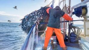 Killybegs Fisheries Organisation lauds Barnier commitment to fisheries

