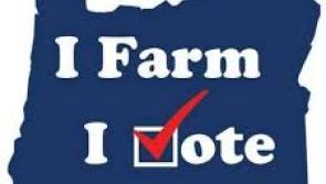 Use your vote and use it wisely - IFA president