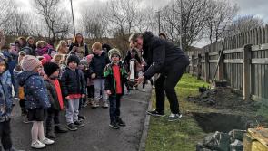 Donegal pupils show  Ombudsman for Children how they promote children’s citizenship in the community