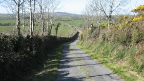 Donegal County Council reminds landowners that hedge-cutting season coming to an end