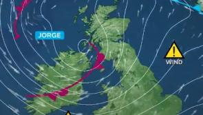 IFA President issues storm warning to all farm workers ahead of weekend