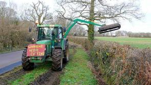 Cutting of hedgerows, burning or gorse and other vegetation  in Donegal prohibited from tomorrow