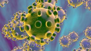 Growing concerns over emerging new Covid variant 