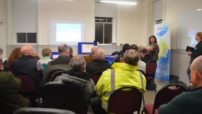 Nature-based solutions recommended to prevent Donegal flooding