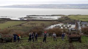 Donegal did Willie proud