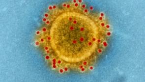 Latest: Coronavirus number updated as of Sunday evening 