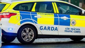 Garda&iacute; appeal for information on Bridgend fight