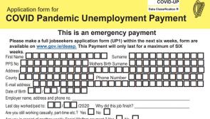 What you need to know if you were laid off because of Covid-19 pandemic business closures