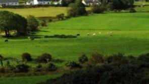 Donegal records biggest drop in farm land prices of any county in Ireland