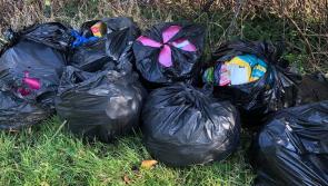 Anger at illegal dumping in Donegal