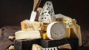 Cáis appeals to retail sector to stock Donegal Farmhouse Cheese and for consumers to consider buying online