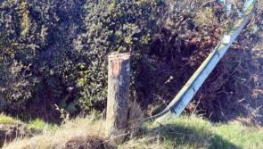 'Donegal vandalism 'totally unbelievable' – Cllr Albert Doherty