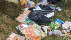 Disgusting dumping disfiguring Donegal
