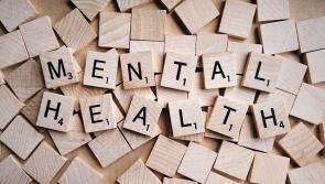 'Mental wellbeing of frontline workers needs to be resourced' - Green Party