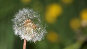 OPINION: Rediscover the joys of not always having a plan