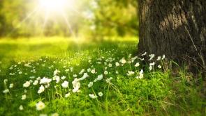 OPINION: 20°C in Donegal and not an ice-cream cone in sight 