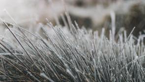 Gritters will be in action on Donegal roads this evening