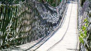 OPINION: Tentative steps out of lockdown like walking on a rope bridge that might or might not hold