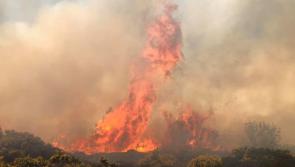 Emergency services tackling a wildfire blaze in Ranafast