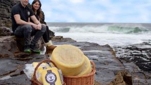 Getting Back to Business with Local Enterprise Office Donegal
