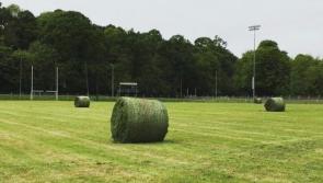 Sign of the times as silage cut on GAA pitch