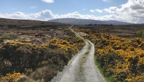 Bog pictures wanted! Show us what's to see working on Costa Del Sod this year