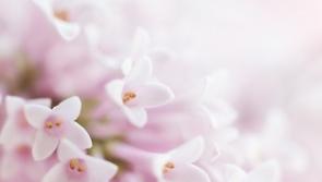 Deaths in Donegal, Saturday evening, June 13