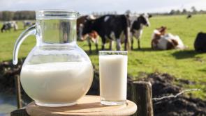 Increase in dairy consumption for Donegal under-35s during lockdown