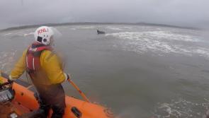 Bundoran RNLI rescues horse at Murvagh Beach