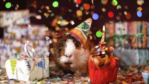 How have the people of Donegal been celebrating their birthdays during lockdown?