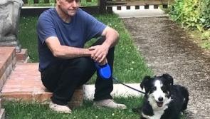 Bidding a fond farewell to nervous collie dog Sally