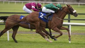 Donegal's Orr brothers continue to boot home winners at Irish racetracks